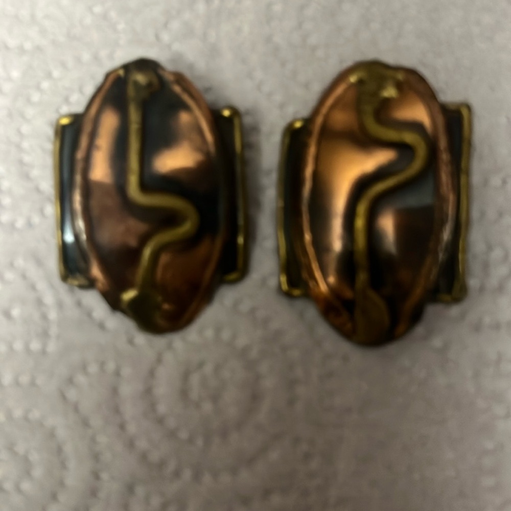 Copper and Brass Snake Earrings